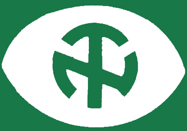 North Texas Mean Green 1968-1971 Primary Logo diy iron on heat transfer